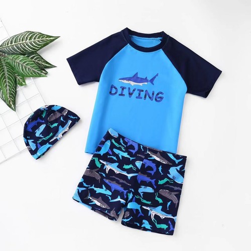 Children's Swimwear Professional Swimsuits Quick-drying Separate sets 2025 NEW - Picture 3 of 11