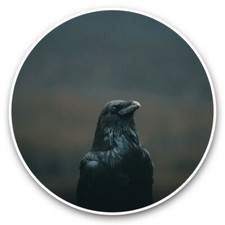 2 x Vinyl Stickers 25cm - Crow Blackbird Raver Black Bird  #44745