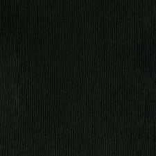 Bazzill Fourz Cardstock 12"X12"-Blackbird/Grasscloth - 25 Pack