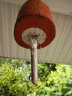 Bild 8 von 8