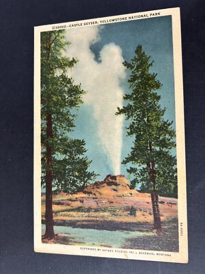 #ad #ad Castle Geyser Yellowstone National Park Wyoming Postcard $2.00