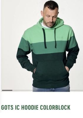 Werder Bremen Hoodie grün Herren Größe 4 XL 