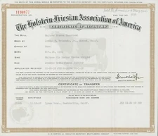 1952 Holstein Friesian Certificate Registry Merced Castroville CA Cow Diagram ZC