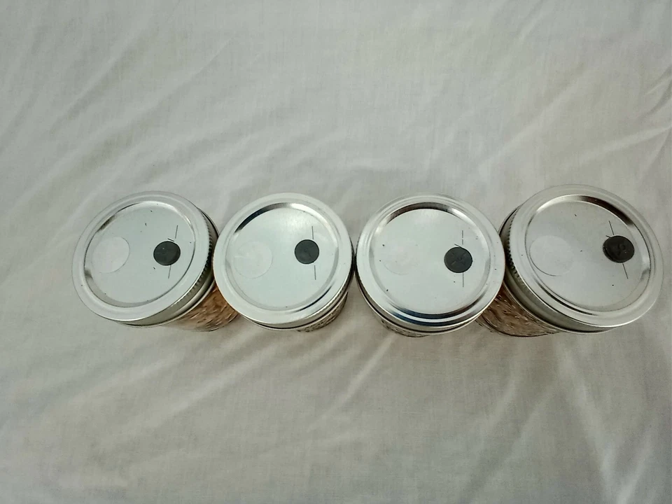 Frascos de setas de 1/2 pinta LISTOS sustrato esterilizado grano crecimiento rápido ENVÍO [C] Foto 3 de 4