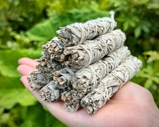 White Sage Smudge Sticks (Thin): 10 Pack Lot (Handy Travel Size Stick)