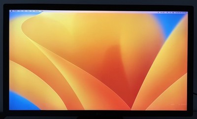 LG UltraFine 4K 22MD4K 21.5