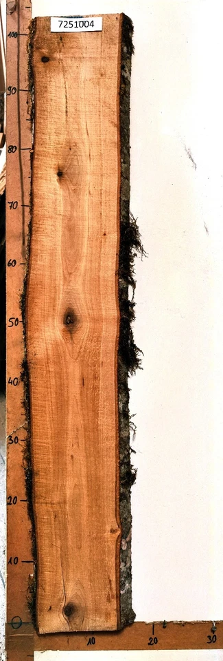 Bretter Sonderposten, Holz, Brett, Bohle, Deko, Schwartenbrett, Rinde, 2 - Bild 4 von 4