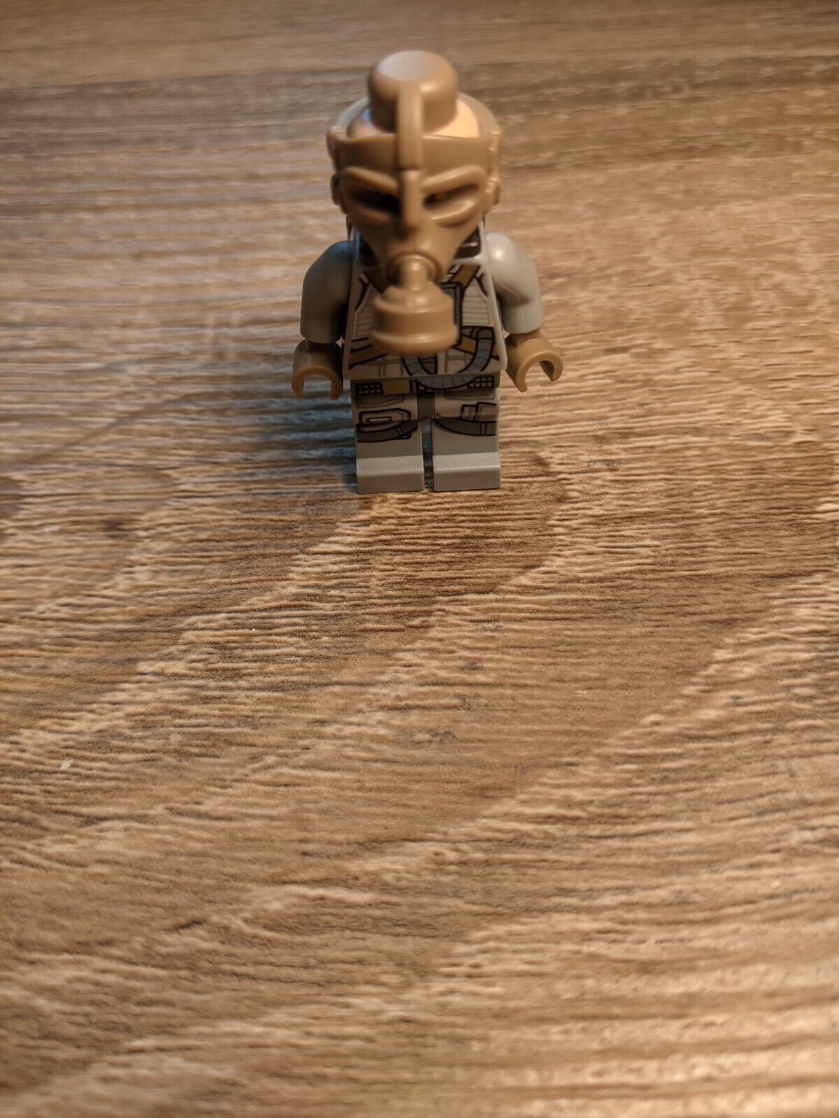 Picture 5 of 12