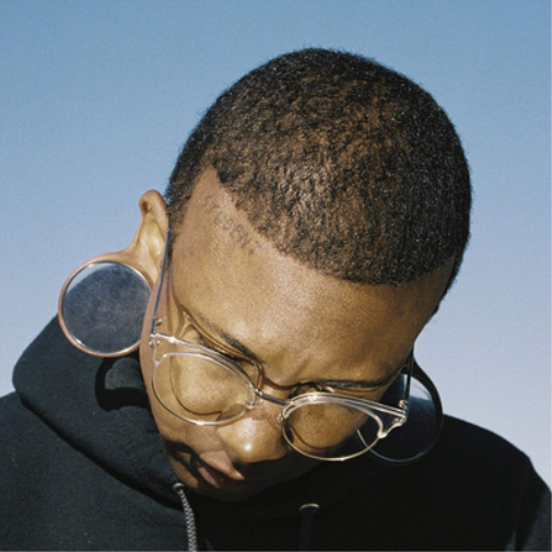 Wizard Apprentice Dig a Pit (Vinyl LP) 12" Album