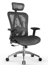 Office Chair Back Support, Ergonomic Comfortable Desk Chair with Soft 3D Armrest