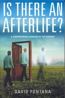 Is There An Afterlife? | David Fontana | Englisch | Taschenbuch | 2005