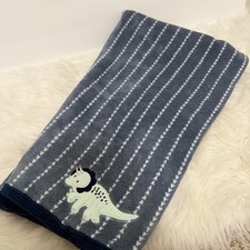 Parents Choice Blue Dinosaur Arrow Stripe Polyester Baby Blanket Triceratops