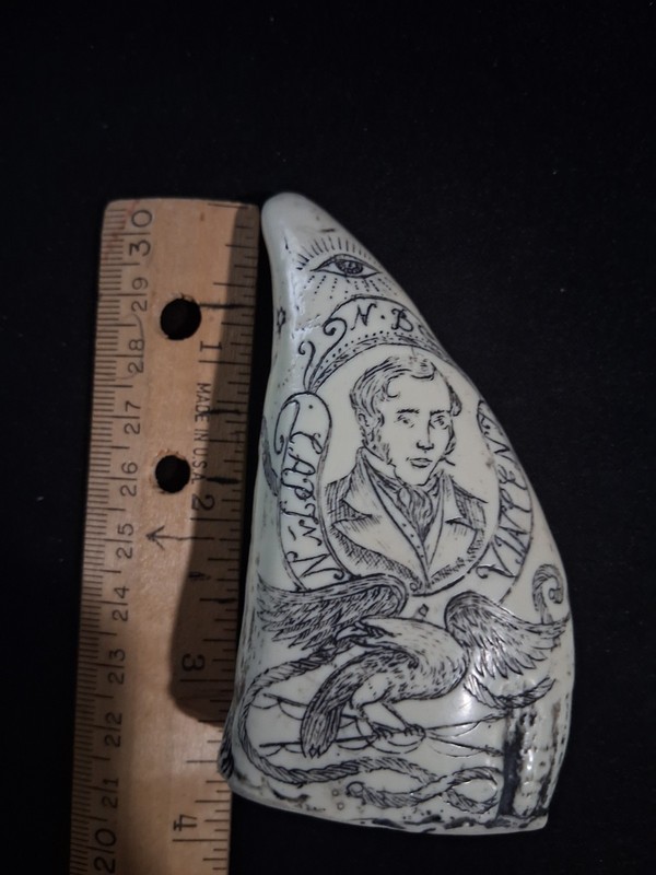 Faux Whale Tooth Captain N Vincent