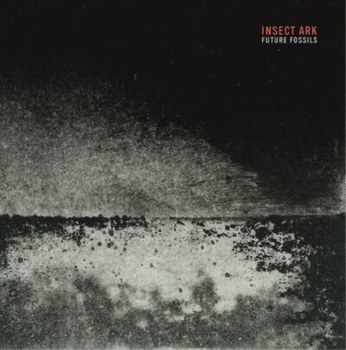 Insect Ark Future Fossils (CD) Album