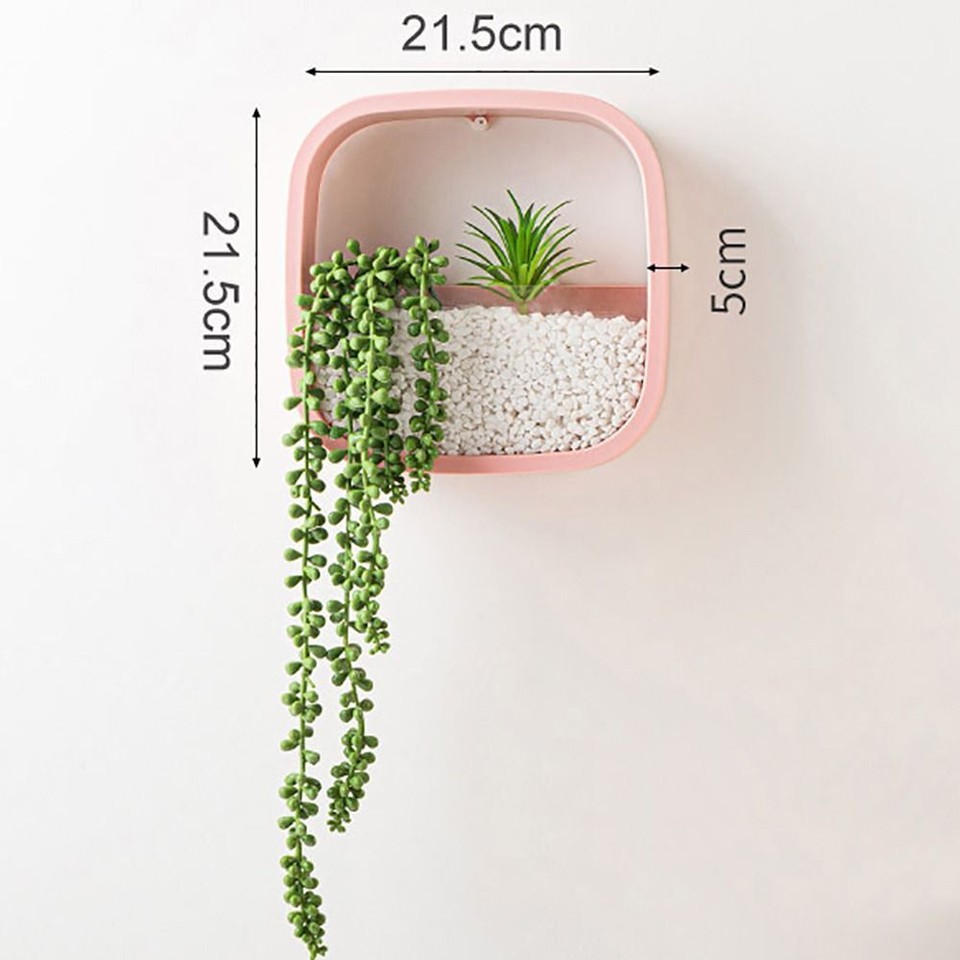 Plastic Wall Hanging Flowerpot Sqaure Succulent Planter eBay