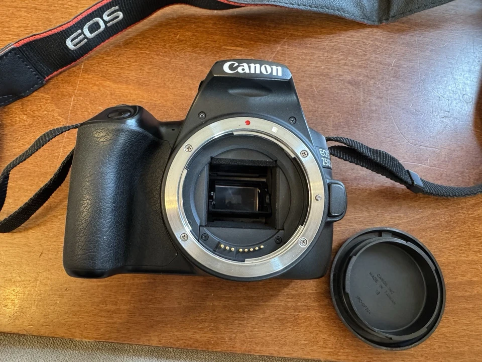 Canon EOS 250D, photo 2 sur 5