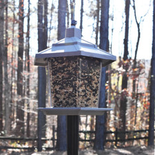 Gray Plastic Hopper Chickadee Wild Bird Feeder Pennington 2.5 Lb