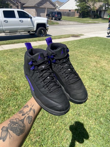 retro 12 dark concord price