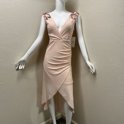 Pink Dress Size 3XL By DFI Los Angelos (J2)