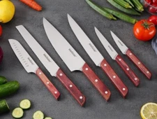 WELLSTAR Kitchen Knife Set 6 Piece, Ultra Sharp Japanese Stainless Steel GIFT 