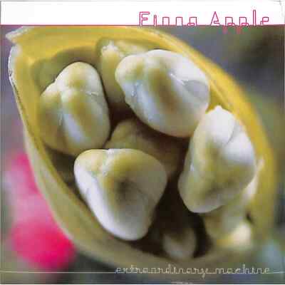 Fiona Apple / EXTRAORDINARY MACHINE (2LP) / Sony Music Catalog / 19658830271 / 