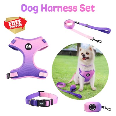 No Pull Adjustable Dog Harness Set with Leash Collar and Poop Bag for All Dogs
