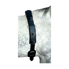 Intrepid International Professional Neoprene Training Surcingle