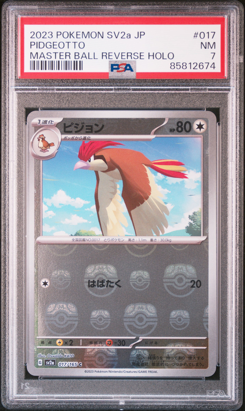 2023 POKEMON JPN SV2A-POKEMON 151 MASTER BALL REVERSE HOLO #017 PIDGEOTTO PSA 7 - Main Image