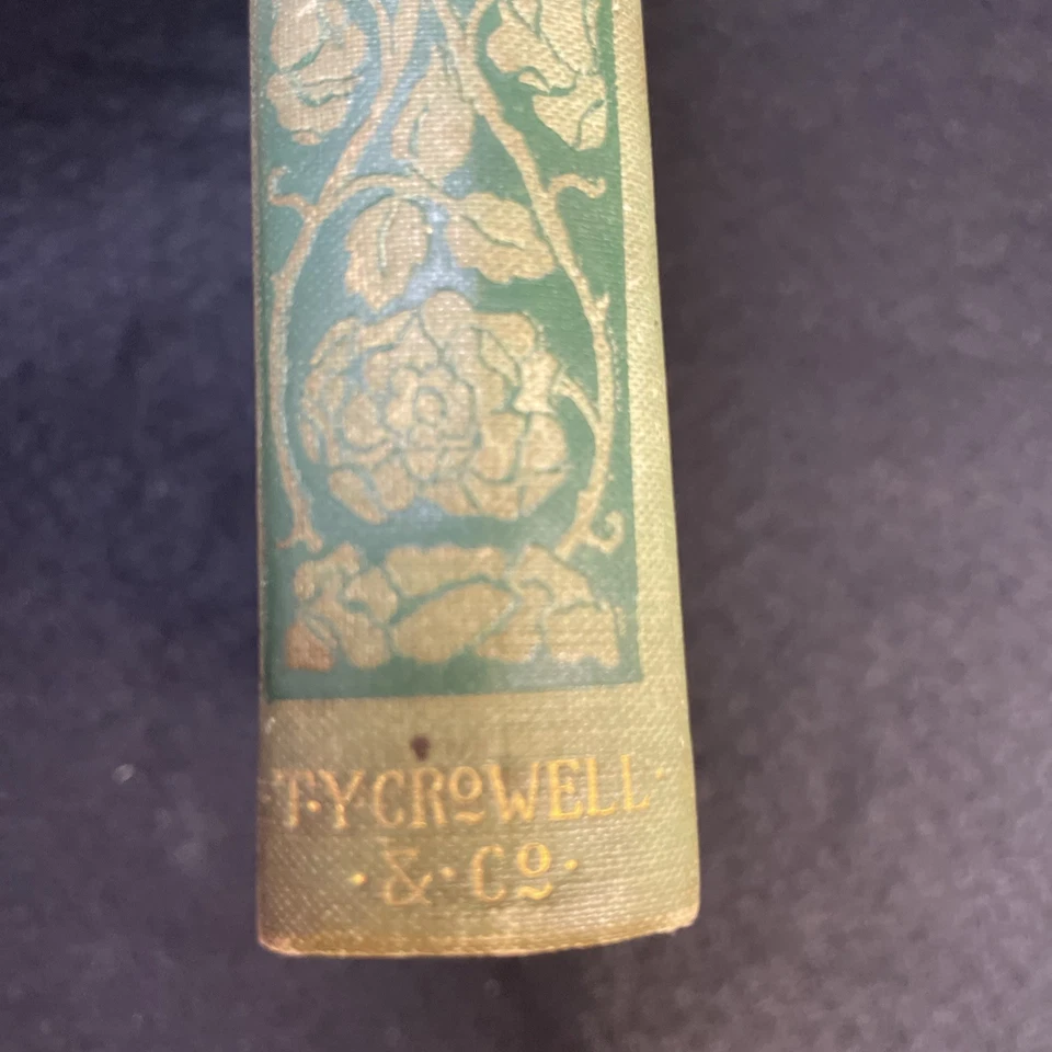 1893 Alices Adventures in Wonderland Lewis Carroll T.Y. Libro antiguo Crowell Foto 4 de 4