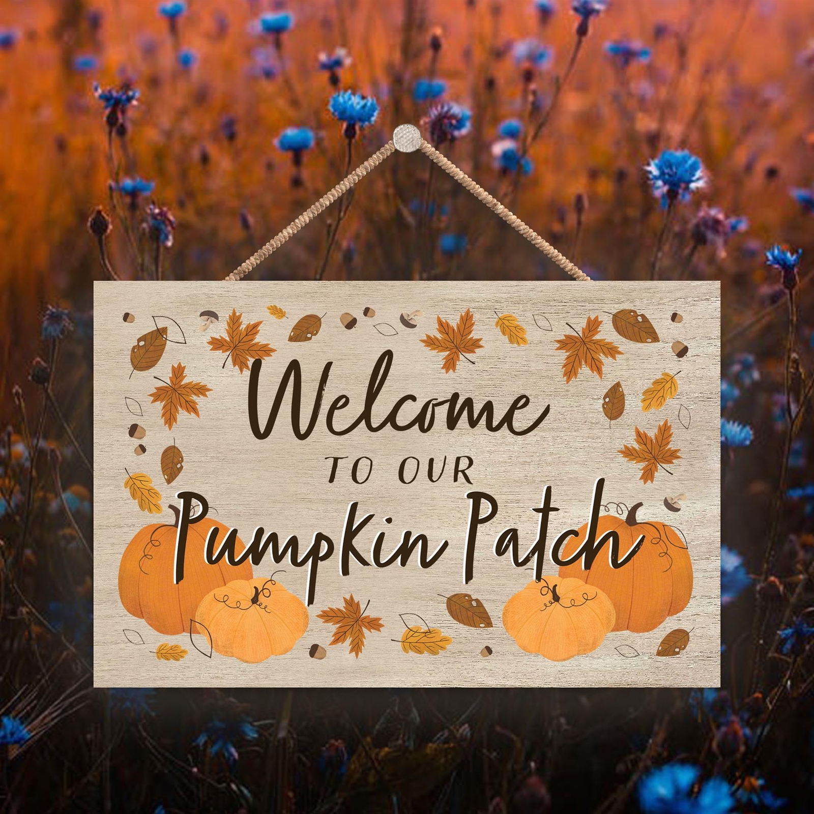 Pumpkin Patch Autumn Pumpkin Illustrations On Wooden Hanging Plaque