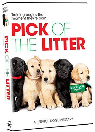 `HARDY,DON JR.` PICK OF THE LITTER DVD NUOVO