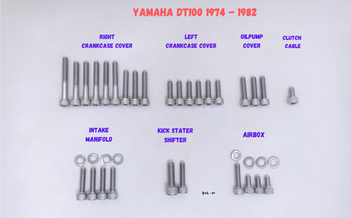 YAMAHA DT100 ENDURO 1974 - 1982 POLISHED STAINLESS ENGINE BOLT SCREW KIT SET - Picture 3 of 3