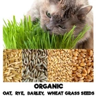 Organic Cat Oat, Barley, Wheat, Rye Grass ~ grown in 14 days BUY 3 GET 1 FREE