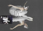 Finnish National Ballet Swan Lake Music Finland Art Maxi FDC Maximum Card 2022