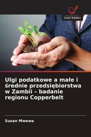 Susan Mwewa | Ulgi Podatkowe A Ma¿E I ¿Rednie Przedsi¿Biorstwa W Zambii -...