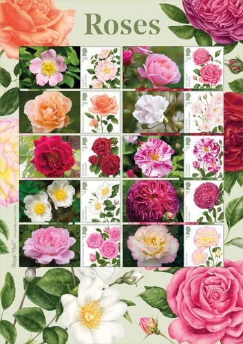 GB 2026 MINT ROSES LS183 COLLECTOR SHEET *SPECIAL PRICE*