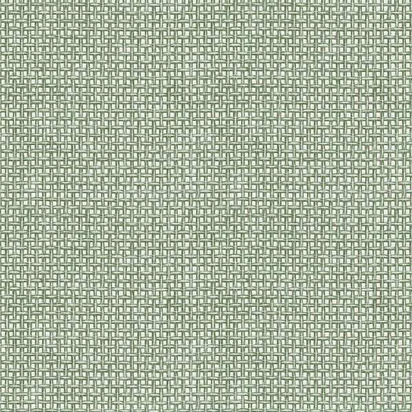 Fd26438_Seychelles Fein Gewebt Textur Salbei GrüN Aus ‑ Weiß Fine Decor Tapete-image