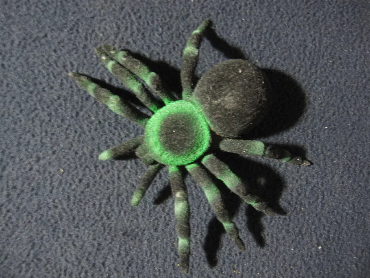Rubber Black and Green Tarantula Spider eBay