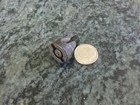 Foto 2 di 4