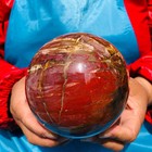 2PCS 6.82 LB Natural Petrified Wood Agate Sphere Crystal Healing Specimen 4093 — photo 5