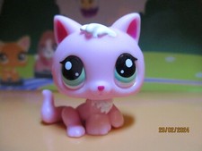 Petshop Chaton #2575