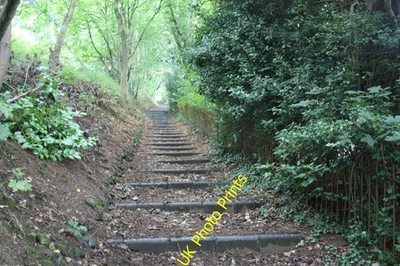 Photo A3 The Pixie Path Upper Wyche Looking up the path from the end of  c2010