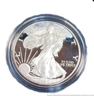 Lot of 3 Silver Eagle US Doller Coin in Original Blue Cases 2005 2006 Coins