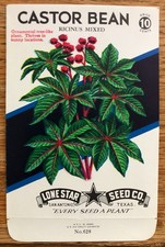 Vintage 1950 Empty Lone Star San Antonio TX Castor Bean