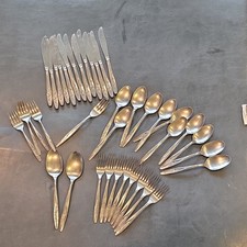 39-Piece Superior Stainless Steel Radiant Ros...