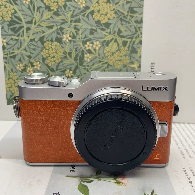 Panasonic LUMIX DC GF9 Flip Screen 4K WiFi Mirrorless Camera with