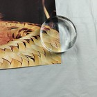 Picture 6 of 20