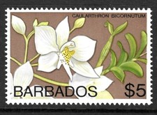 Barbados Scott 410 Orchid Stamp VF MNH Issued 1974-77 Flowers.