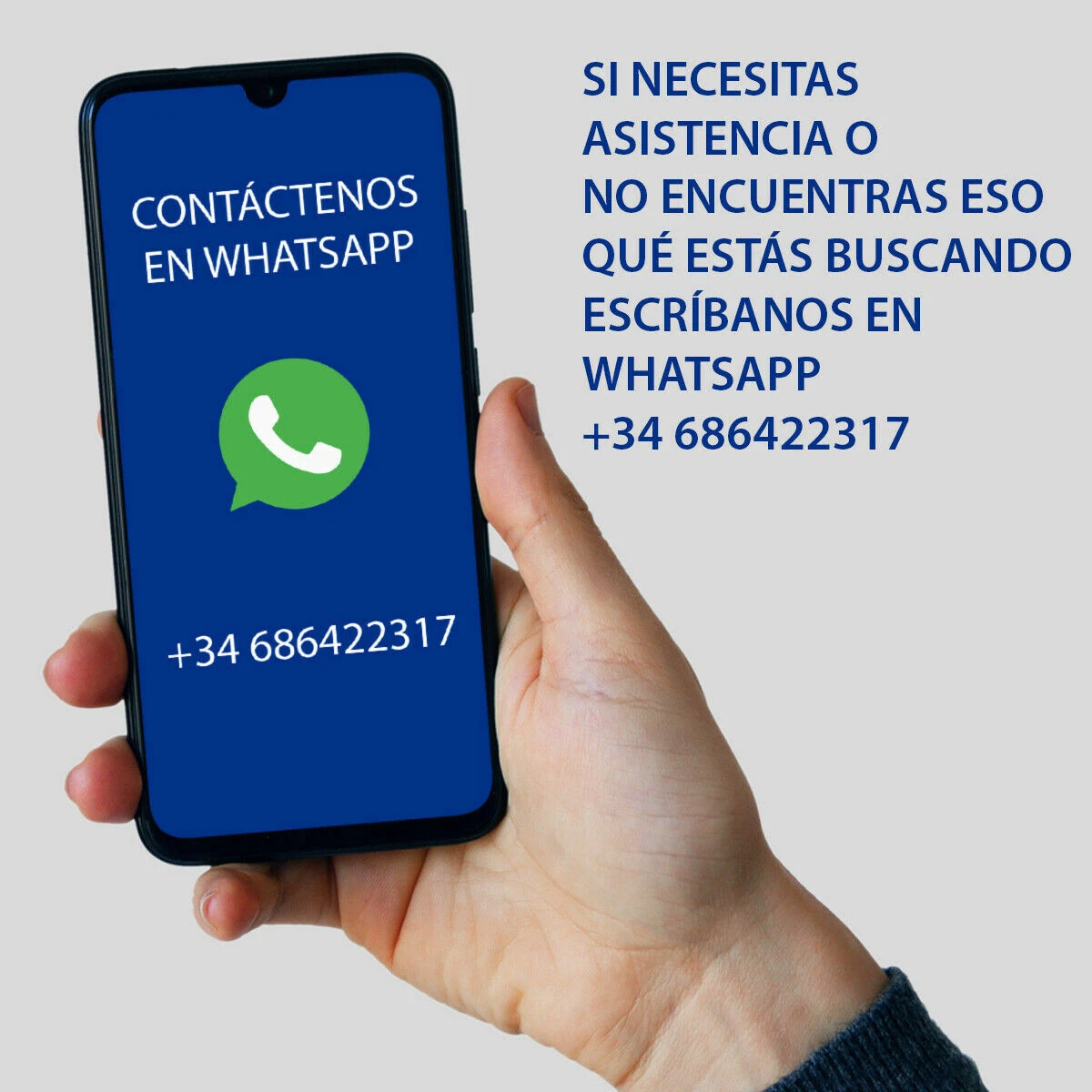 Imagen 6 de 9