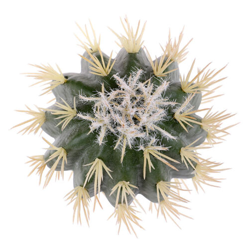 1x Funny Cactus Car Antenna Pen Topper Aerial Ball Decor Toy Finding Car TSS-*- - Picture 5 of 9